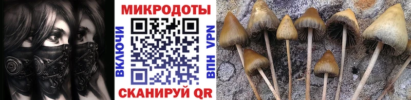 Псилоцибиновые грибы прущие грибы  Южно-Сухокумск 